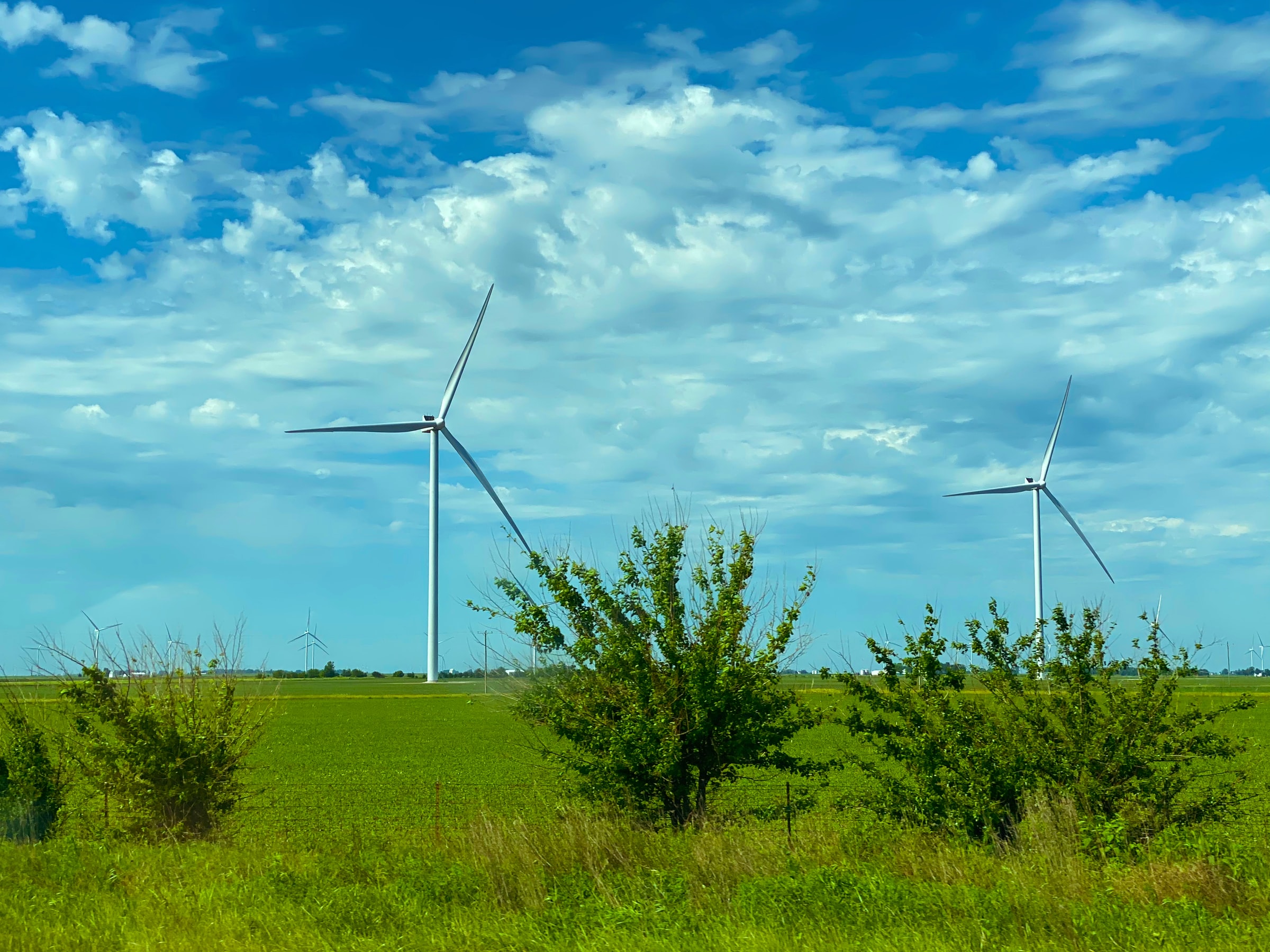 Eoliennes par Jennifer Griffin