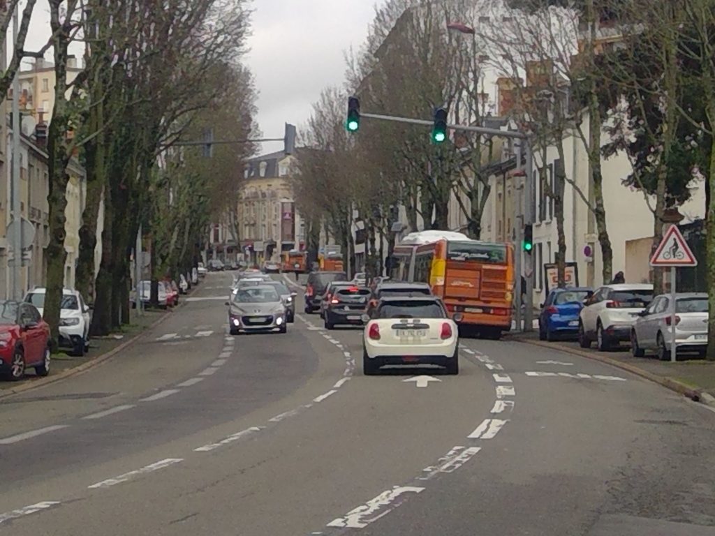 Sauver des arbres et préserver les libertés associatives (Vis ma vie d’élu local, jeudi 8 et vendredi 9 février)